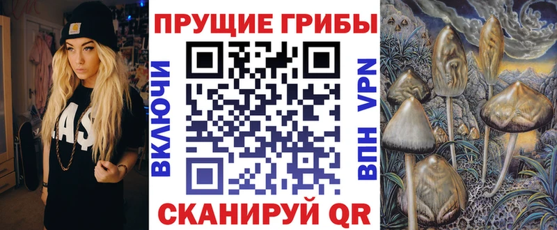 Галлюциногенные грибы мицелий Ижевск